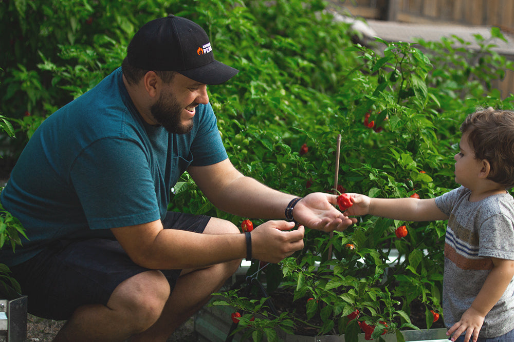 Fueling the Fire: Habaneros to Hot Sauce